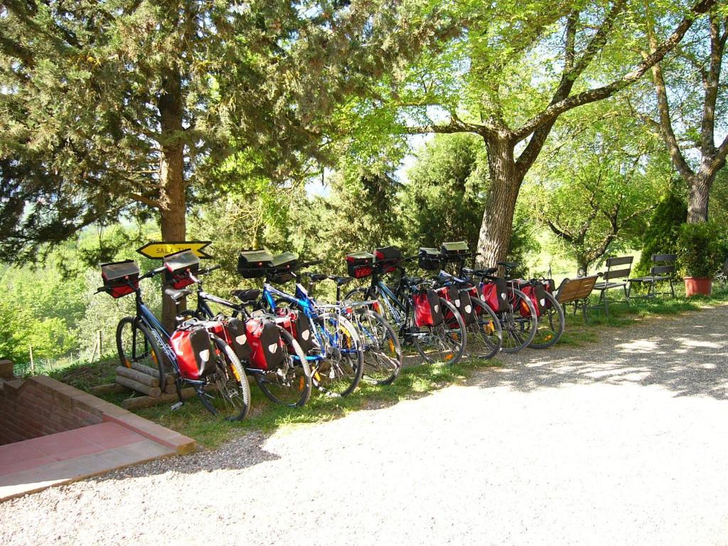 Fattoria Pieve A Salti Villa Buonconvento Bagian luar foto