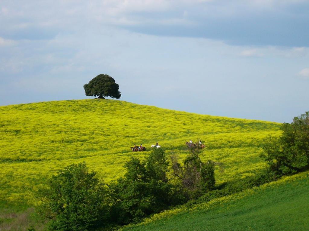 Fattoria Pieve A Salti Villa Buonconvento Bagian luar foto