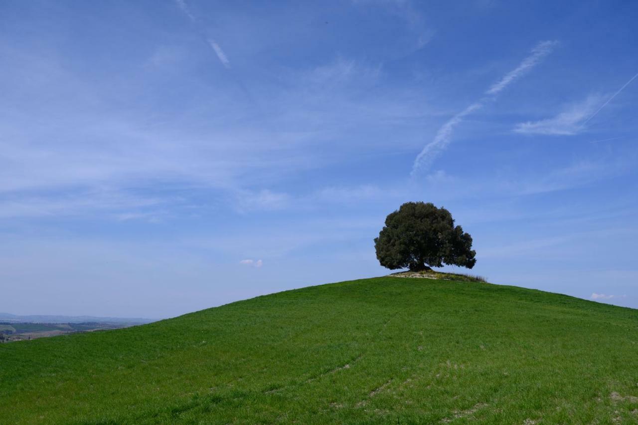 Fattoria Pieve A Salti Villa Buonconvento Bagian luar foto