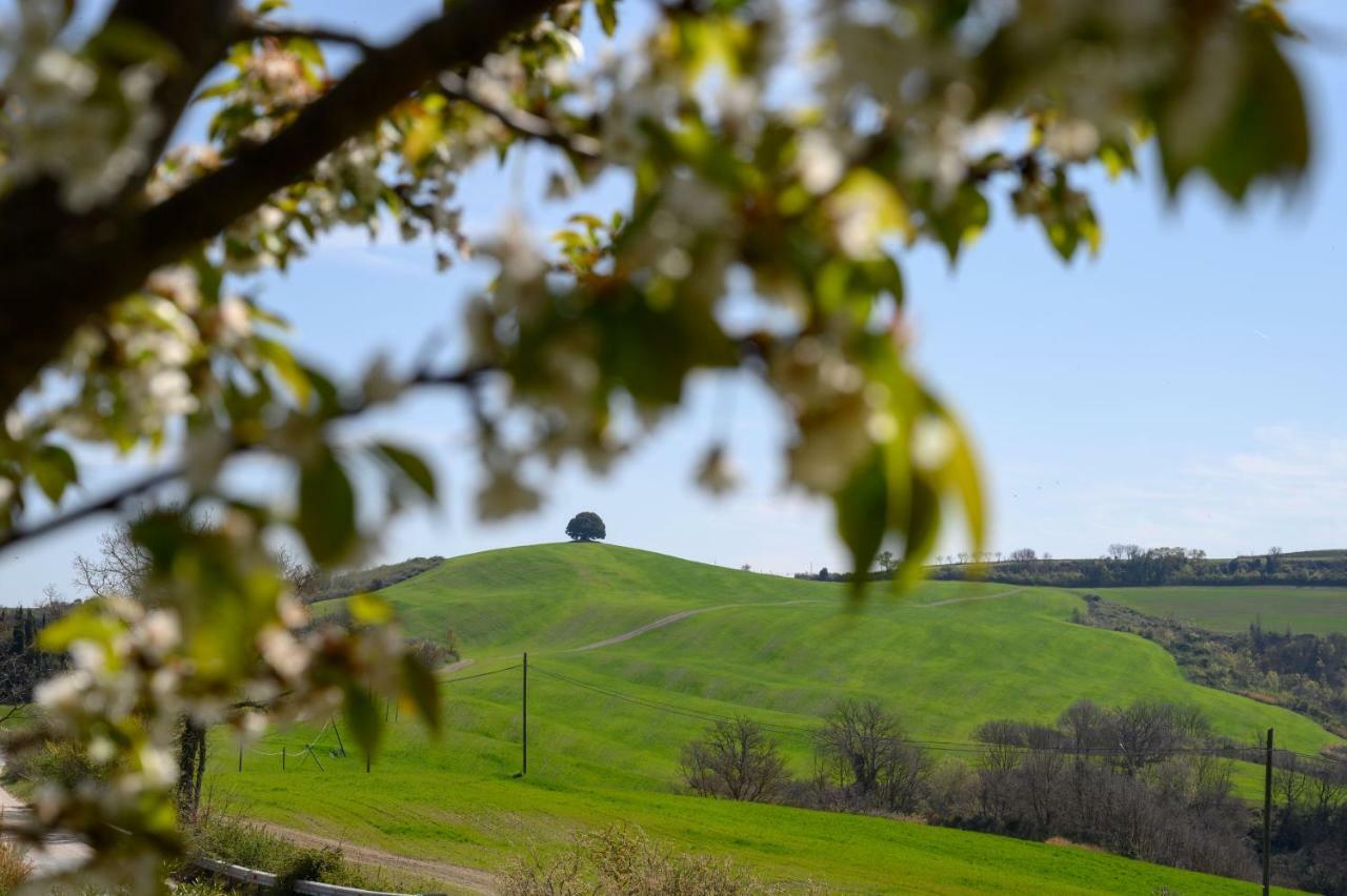 Fattoria Pieve A Salti Villa Buonconvento Bagian luar foto
